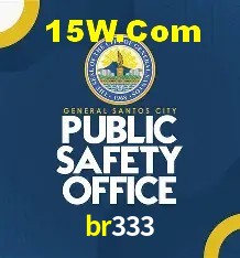 Segurança 2FA br333