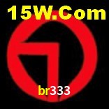 Ofertas Exclusivas br333