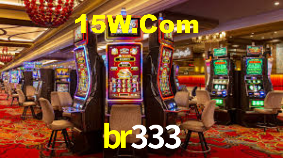 Interface Premium br333