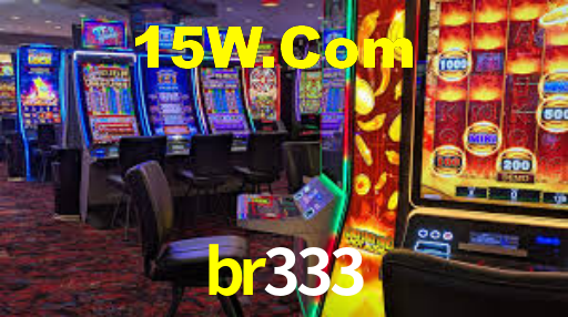 br333